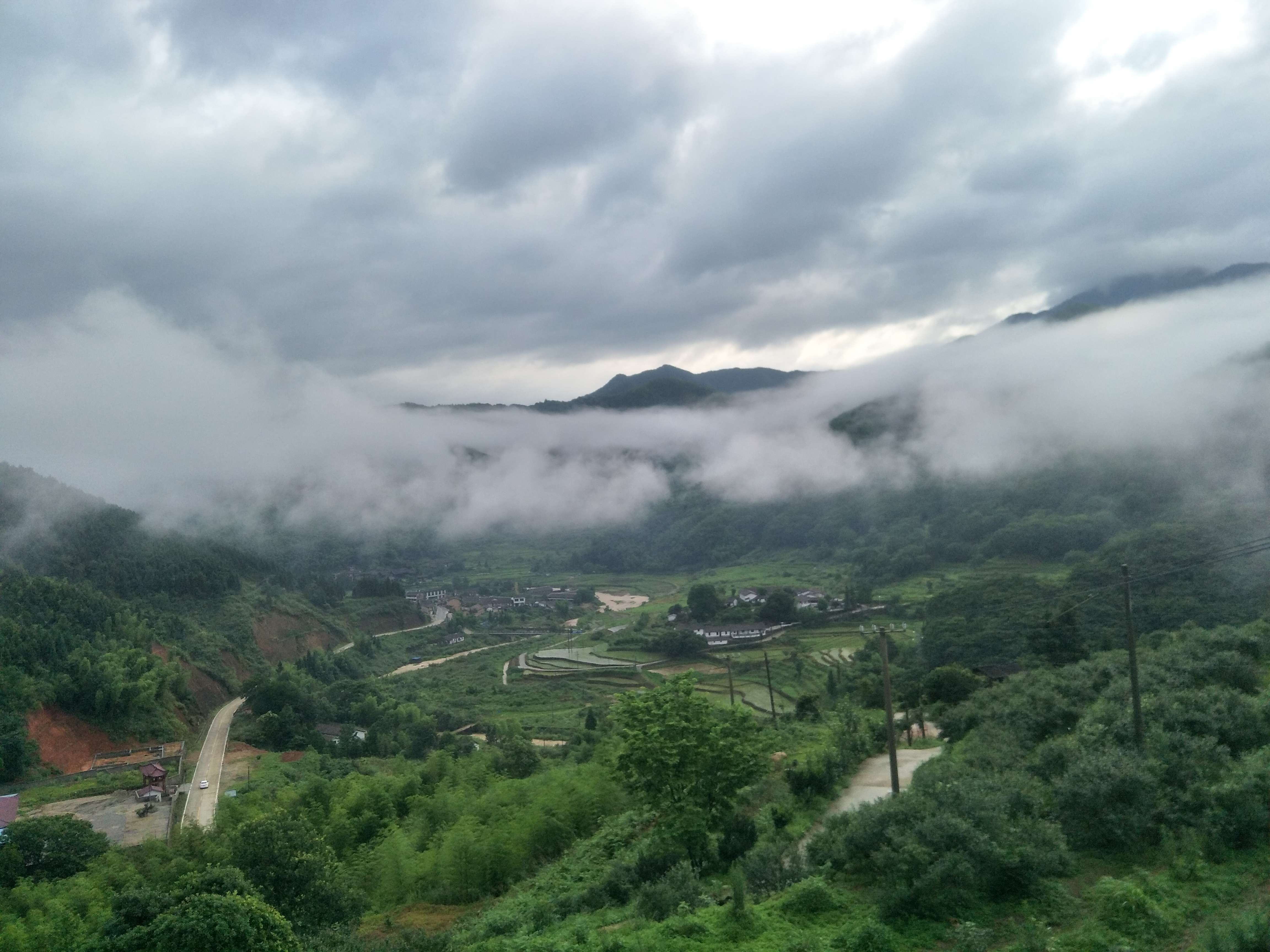 德胜关蓝莓基地 图片 2